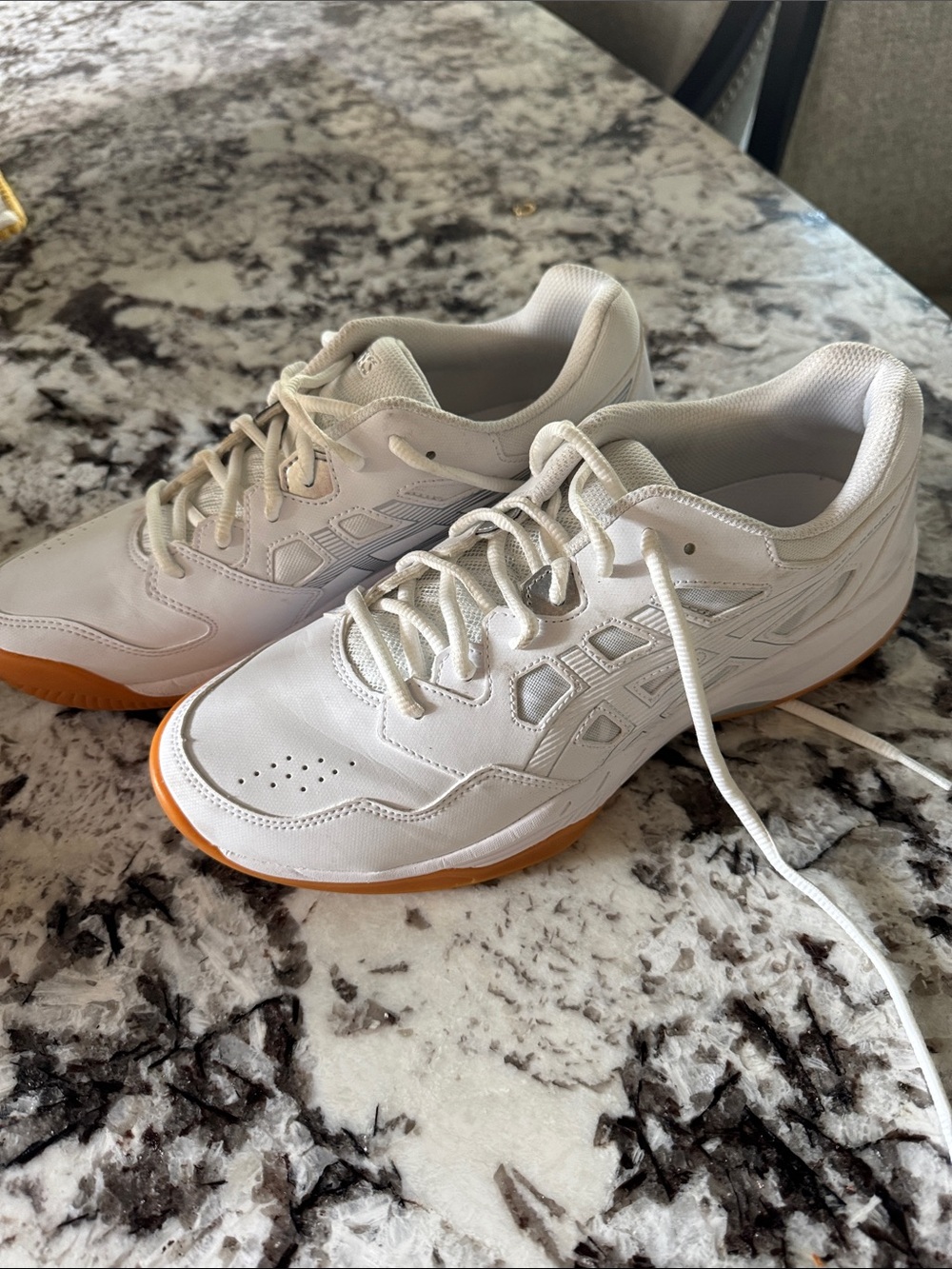 Asics indoor pickleball shoes